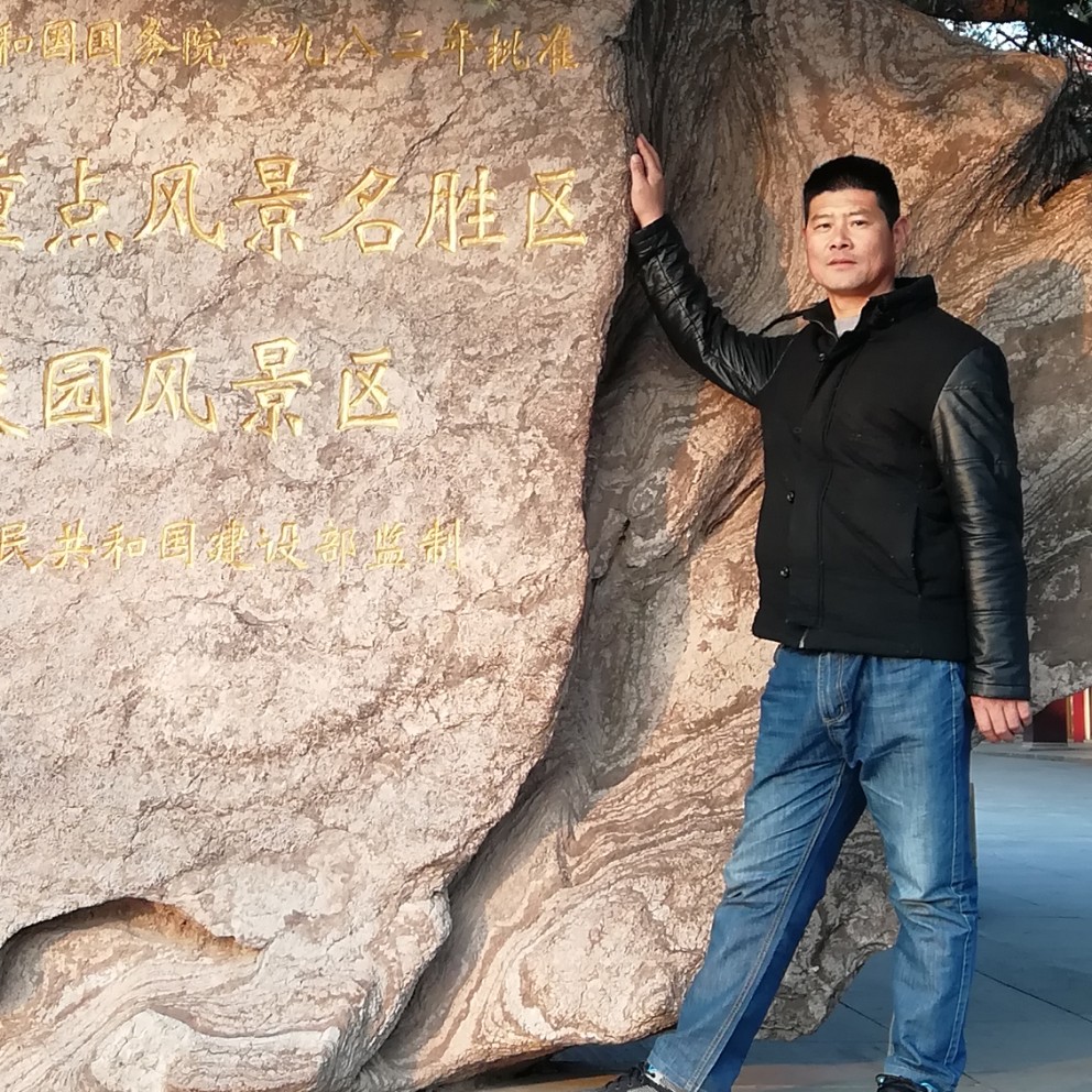战斗机文静的照片