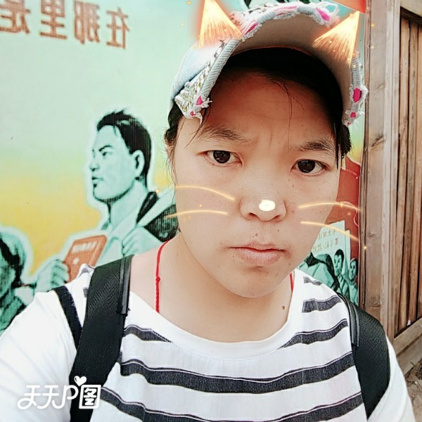 向日葵蹁跹开心的照片