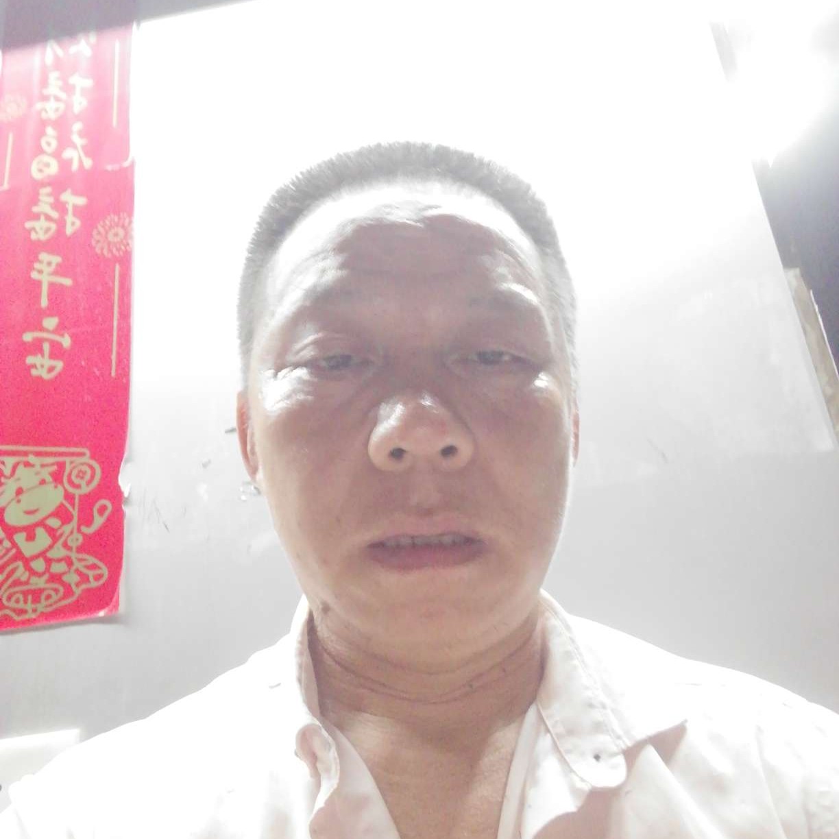 青花苦恋悦耳的照片