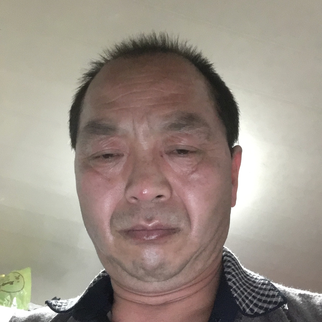 深情保卫小鸽子的照片