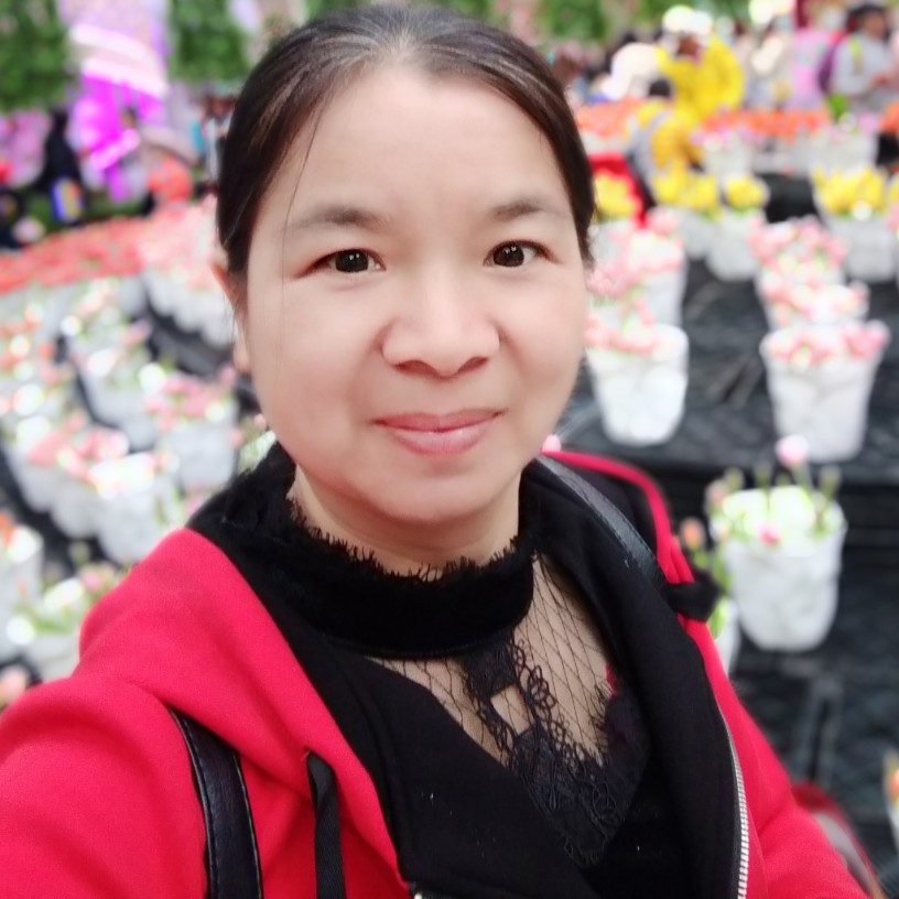 小蝴蝶现代的照片