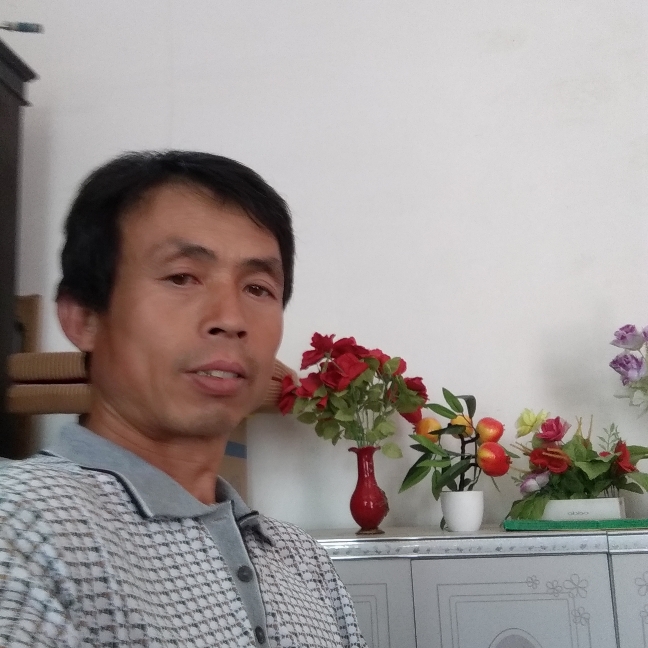 会员846287052的照片
