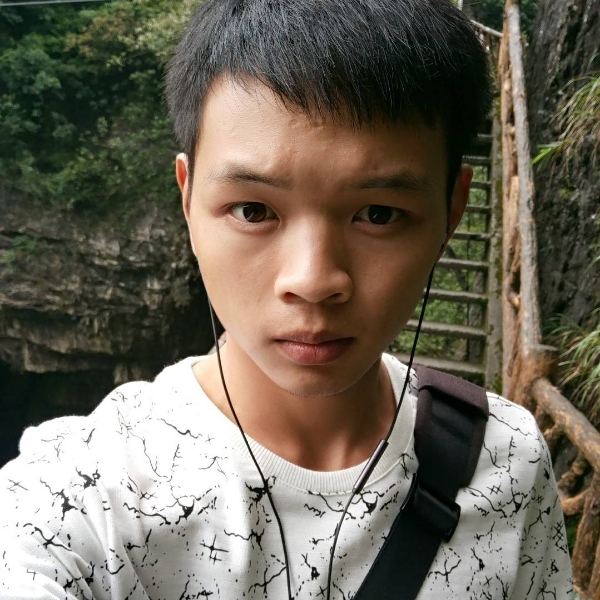 整齐红玫瑰的照片