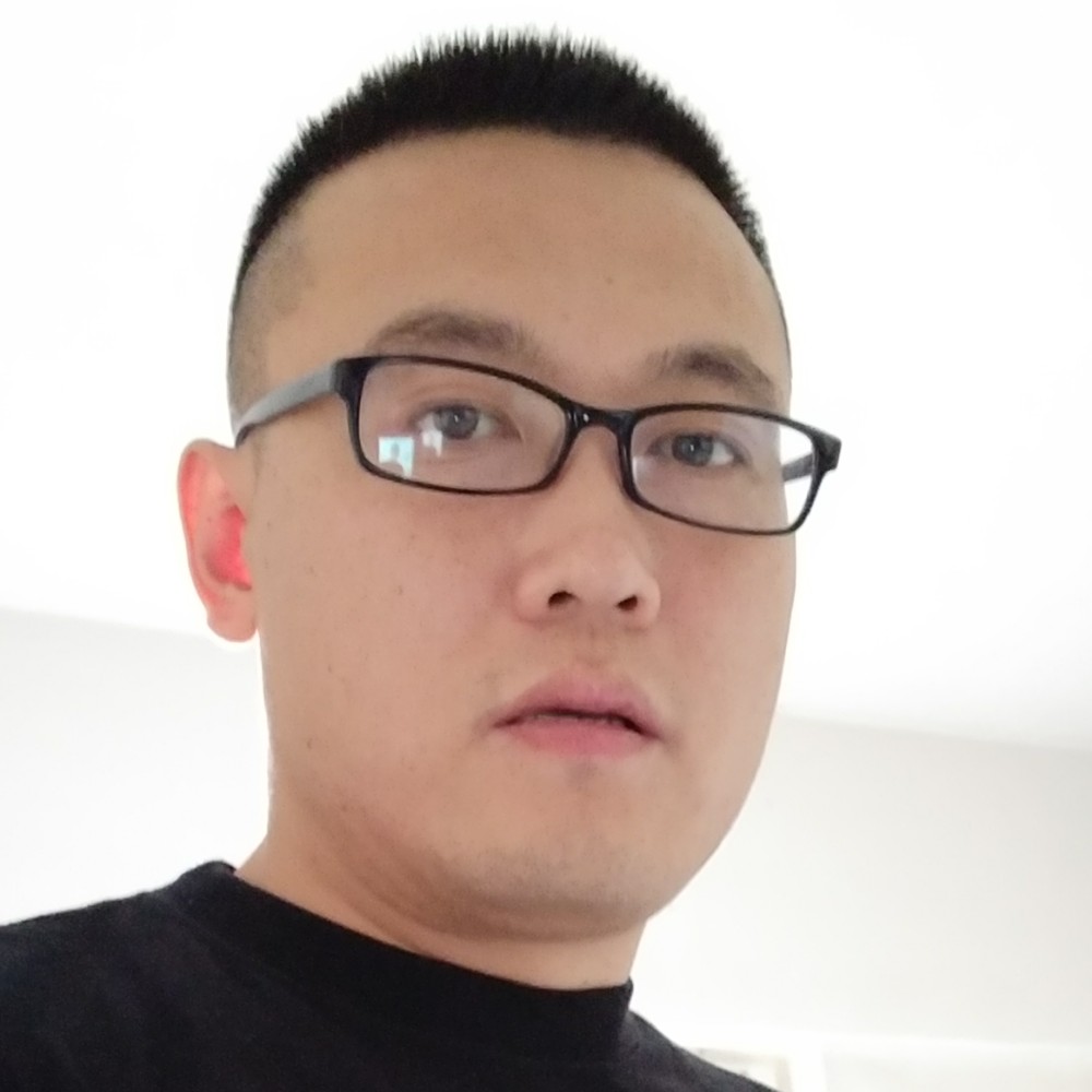 灰狼等待勤恳的照片