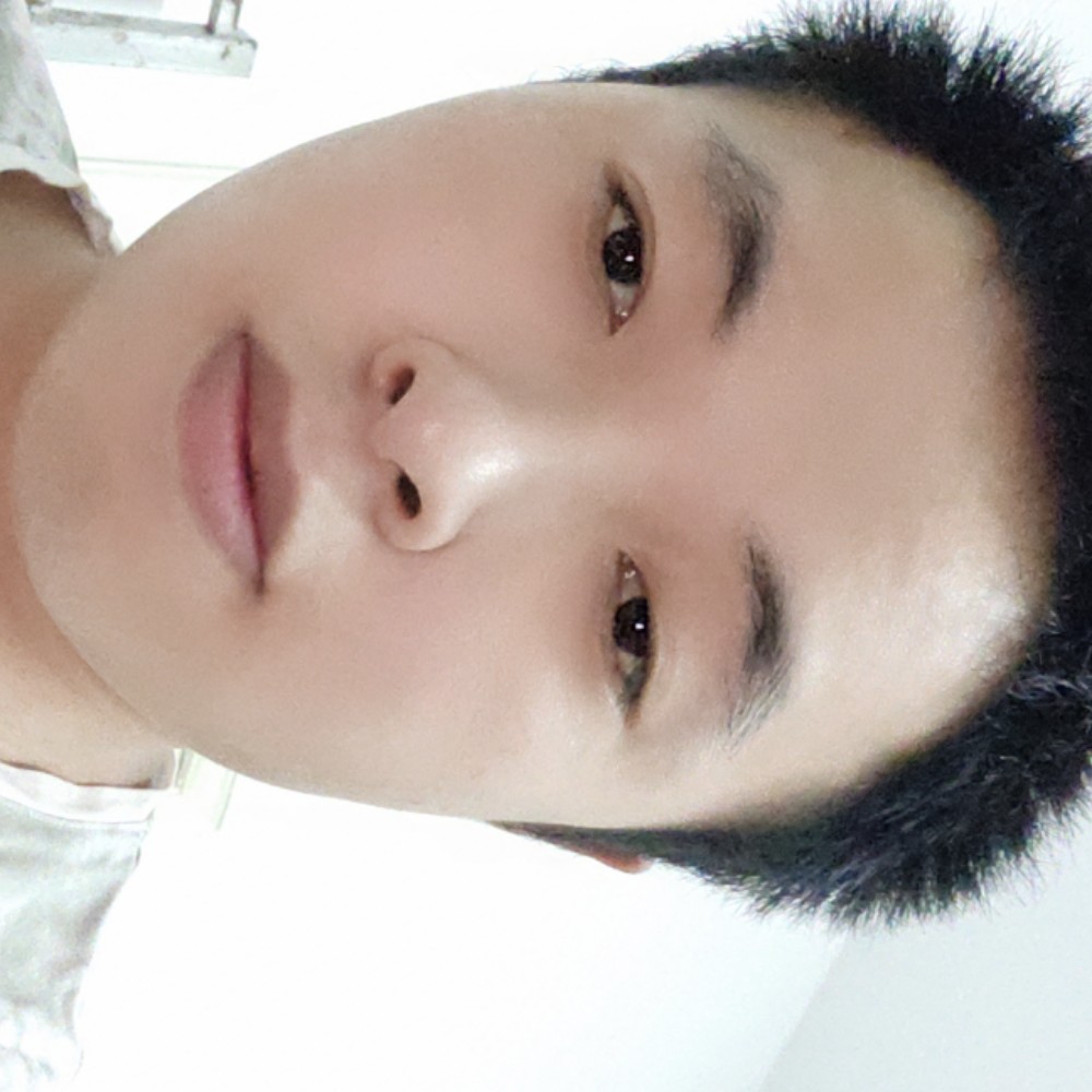 迅速等待刺猬的照片