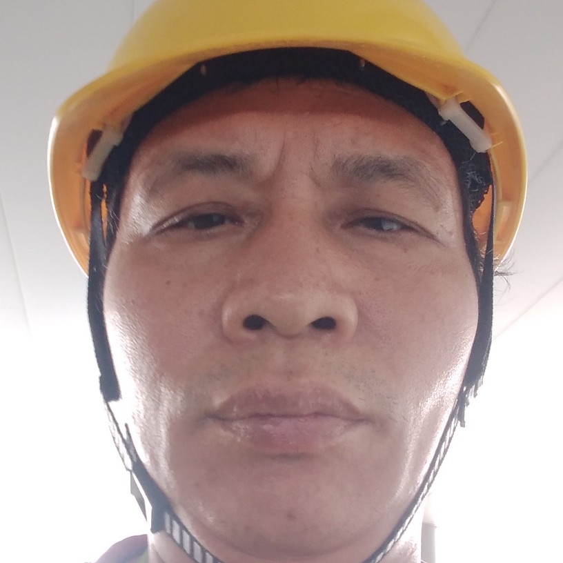 饼干甜美的照片