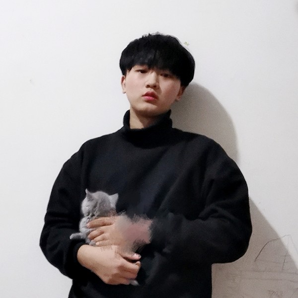 夜晚爱上猫的照片