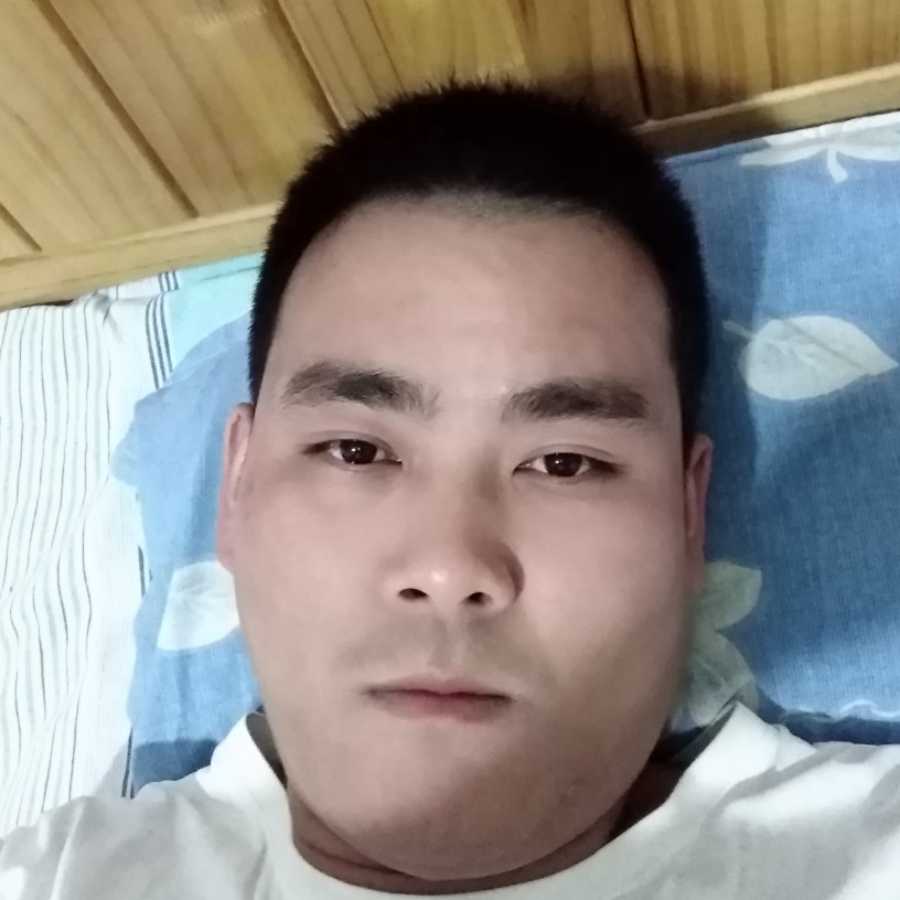 欠你的拾忆龙猫的照片