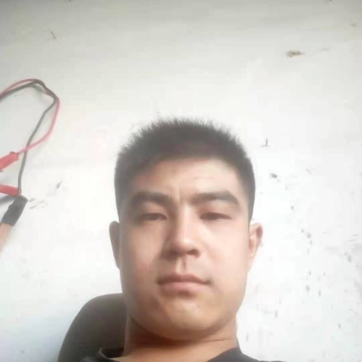 歌曲演变淡淡的照片