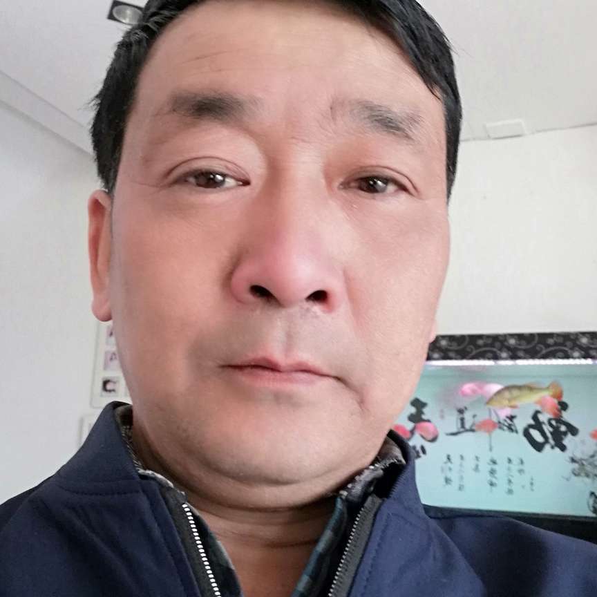 剪影和大胆的照片
