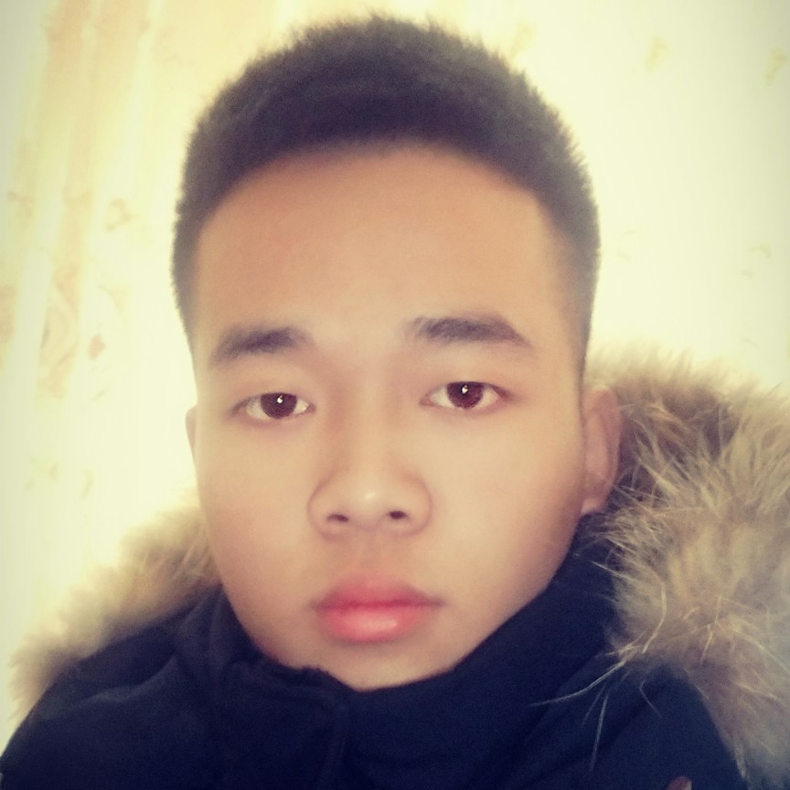 小巧蝶舞的照片