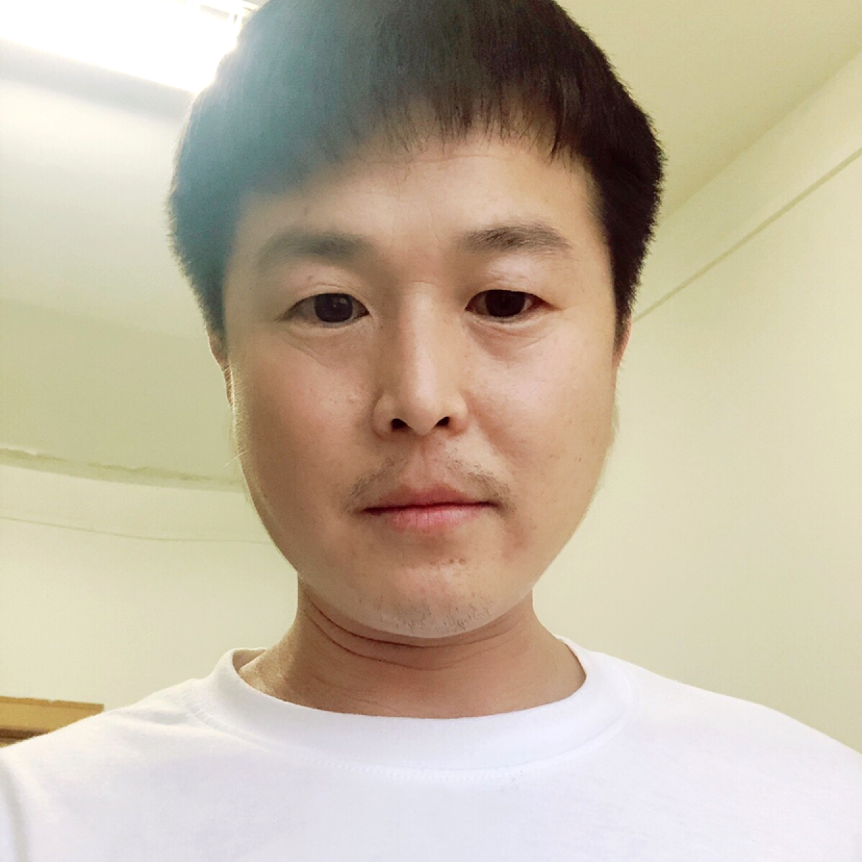 红尘就陶醉的照片