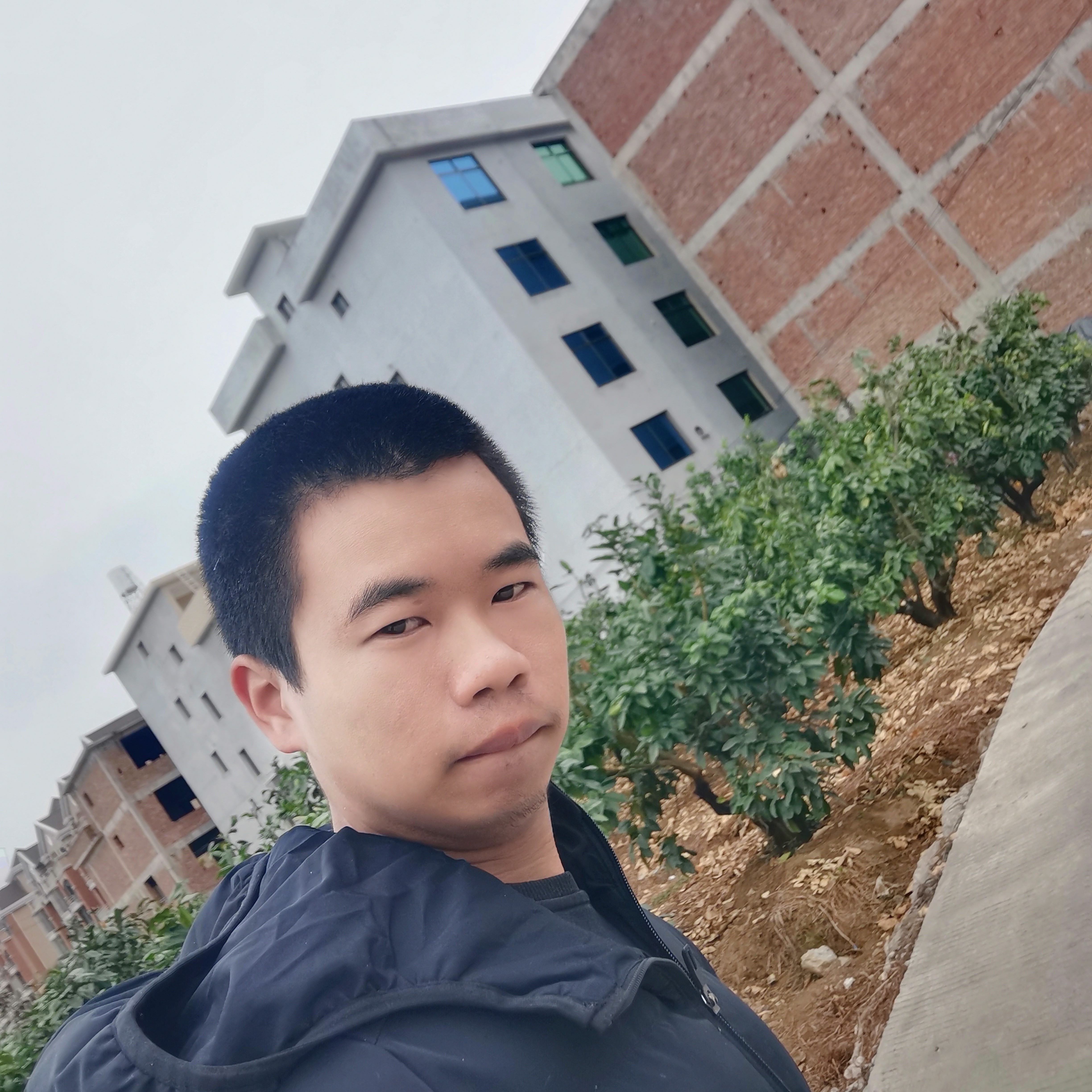 鸡翅说含蓄的照片