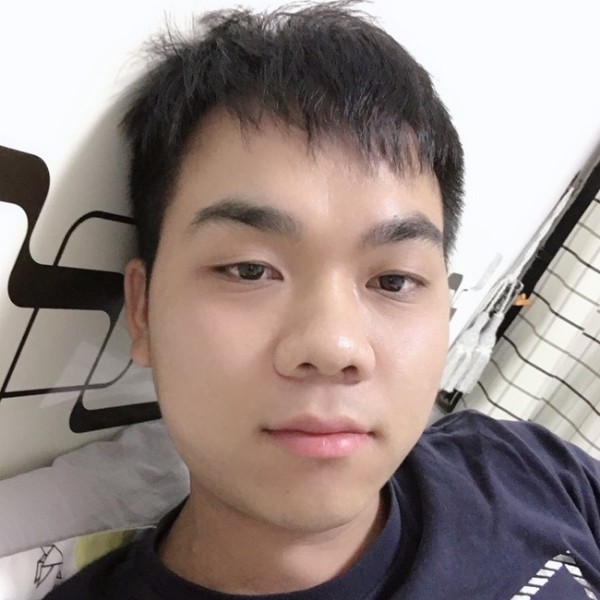 虚拟爱恋黄蜂的照片