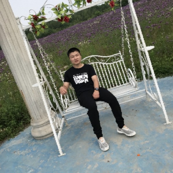 愉快灰狼的照片