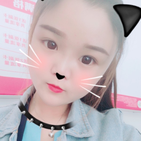 猫 猫的照片