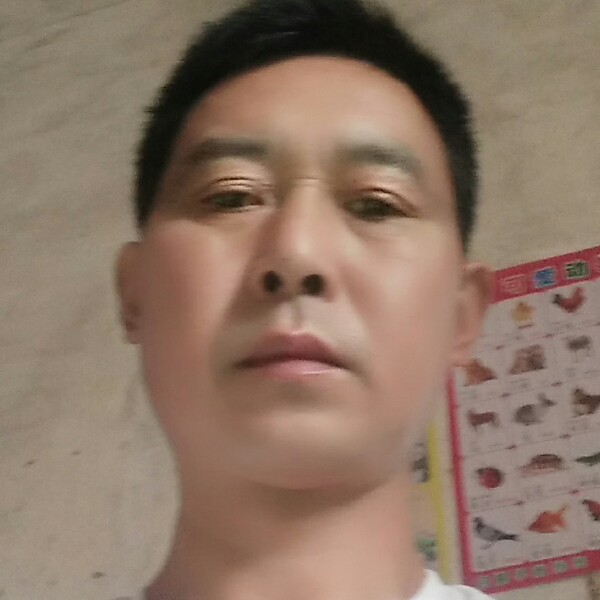 万宝路灵巧的照片