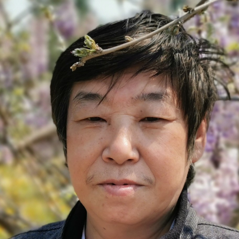 隐形爱斑马的照片