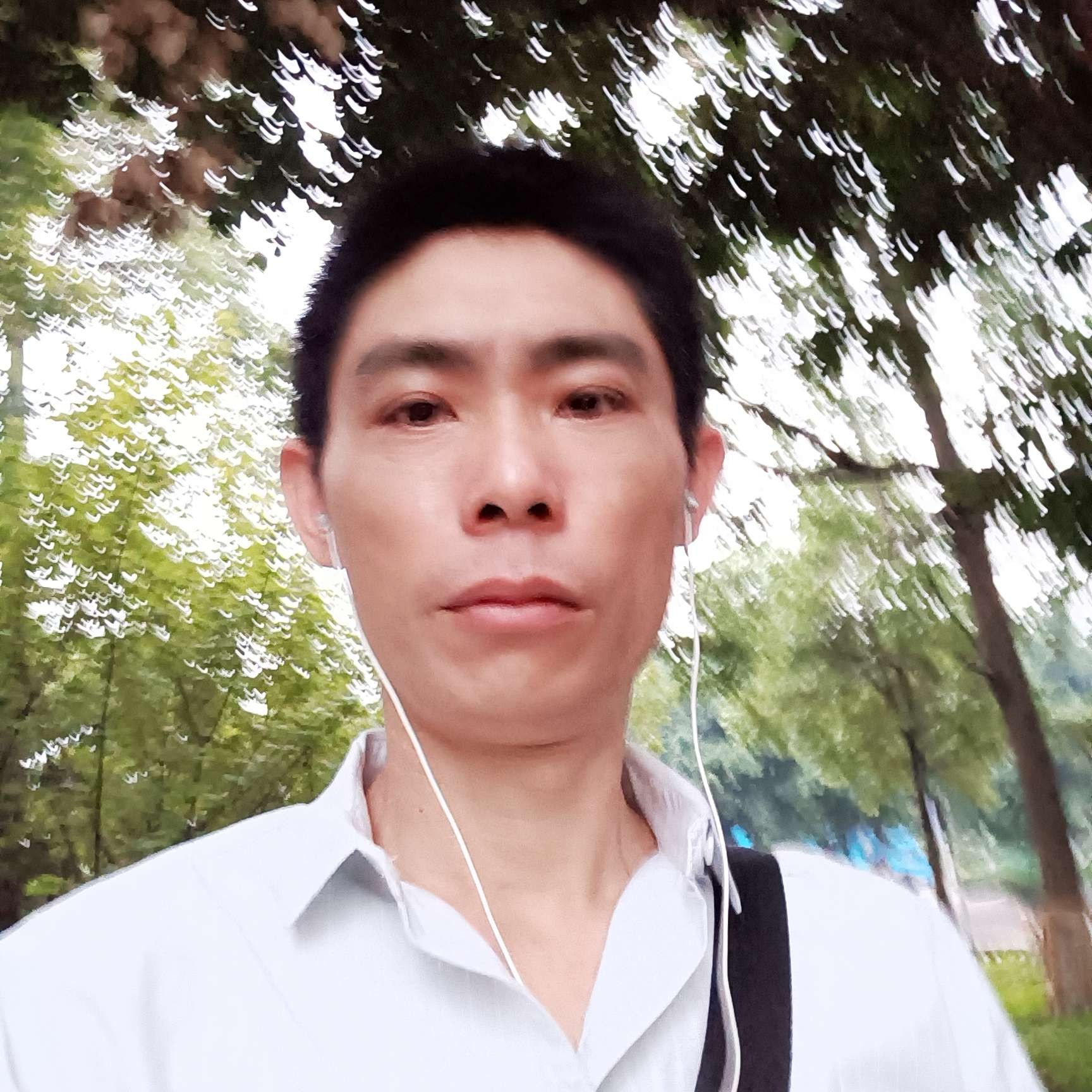 风峥断了线的照片