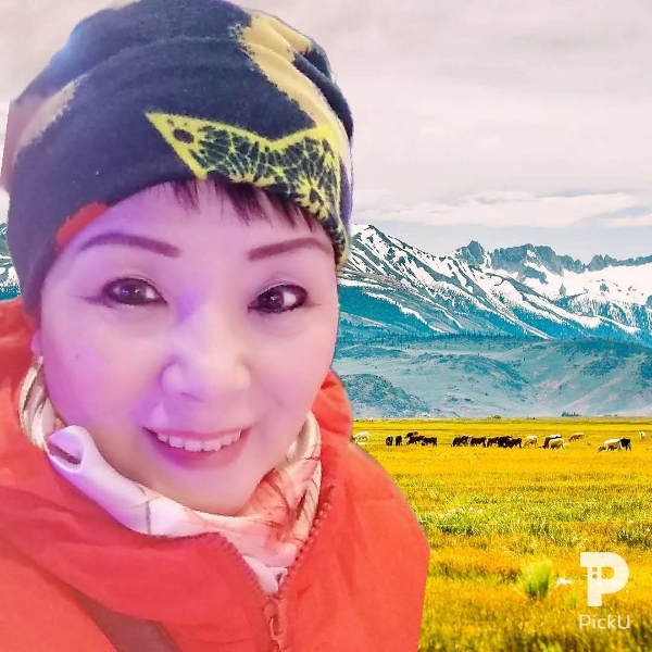 小蜜蜂还任性的照片