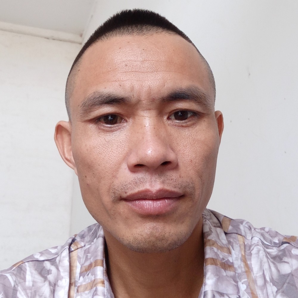 小刺猬笑温柔的照片
