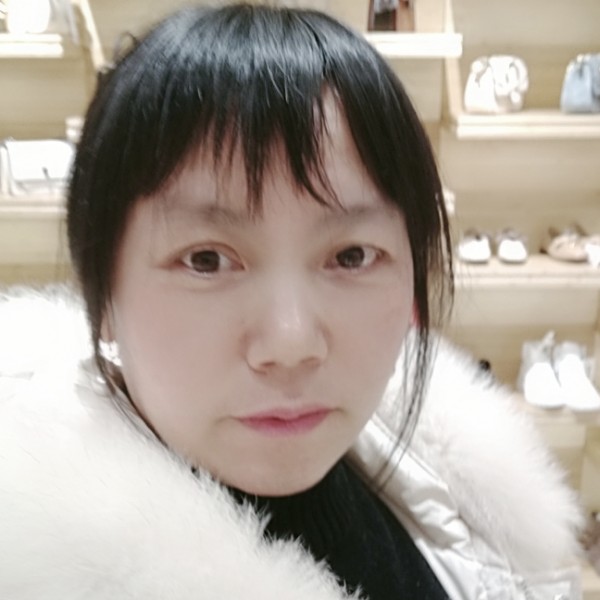 单只蝴蝶。的照片