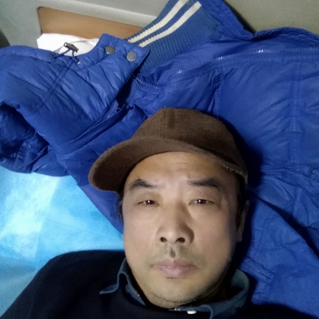 迷你猫的照片