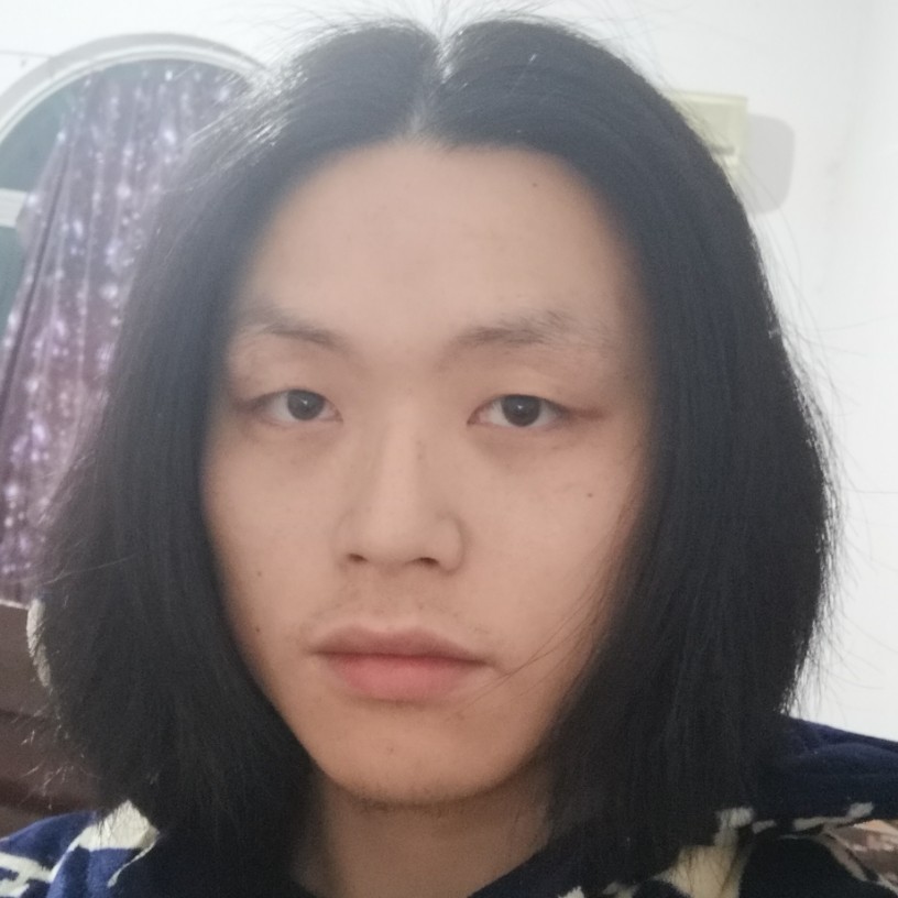 梵高先生l的照片