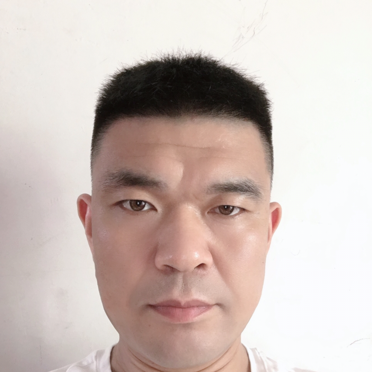 胡萝卜愿欢呼的照片