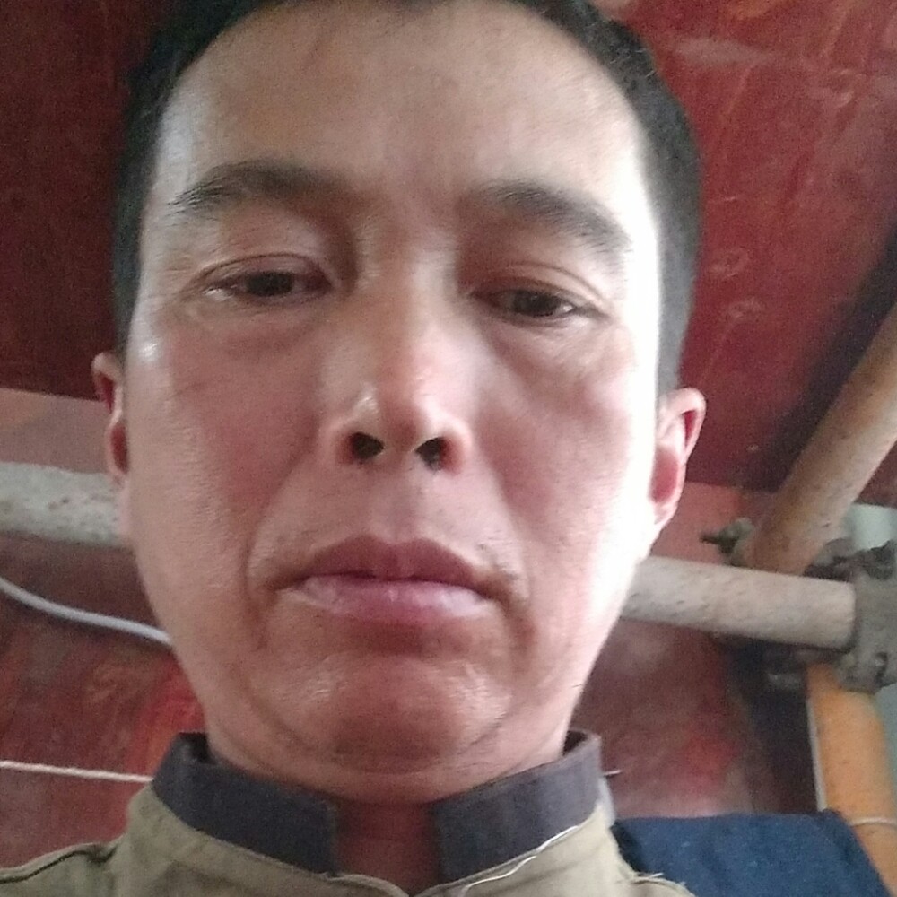 搞怪热狗的照片