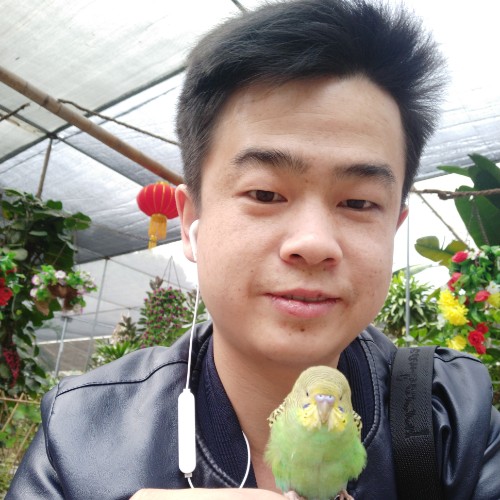 心碎的照片