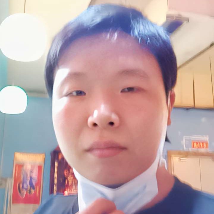 树叶22的照片