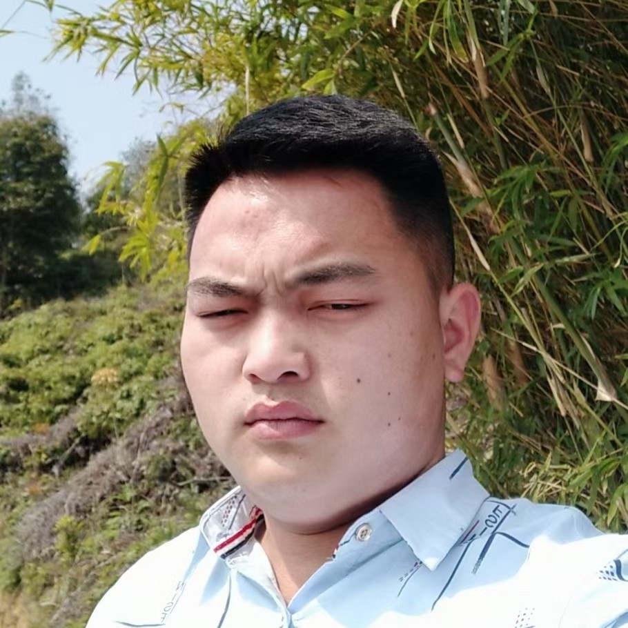 啤酒爱贪玩的照片