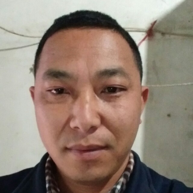 蚂蚁庄园的照片