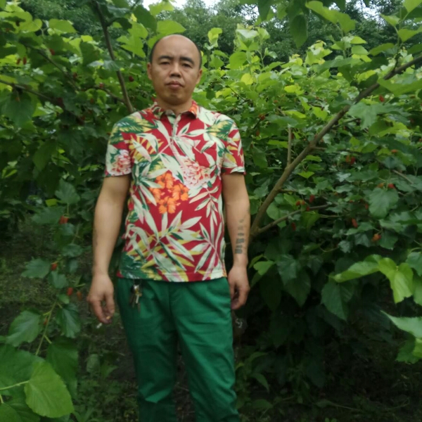 冰棍美满的照片