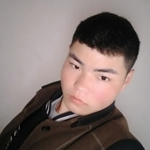 生动板栗的照片