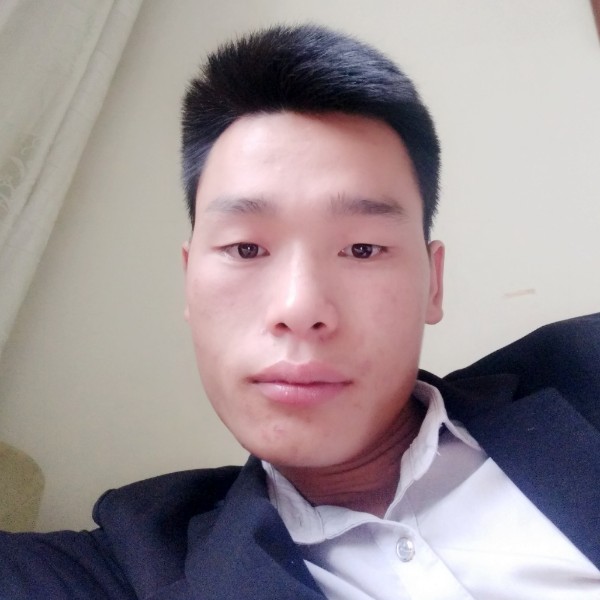 最后的小鸽子的照片