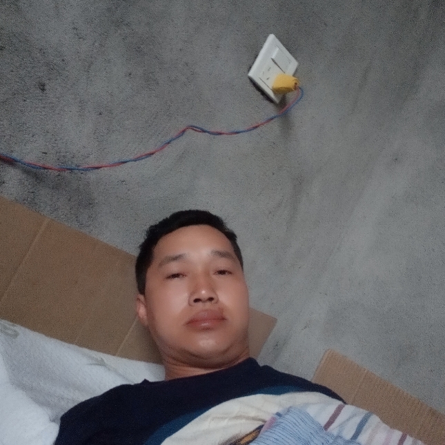 小鸽子等于碧蓝的照片