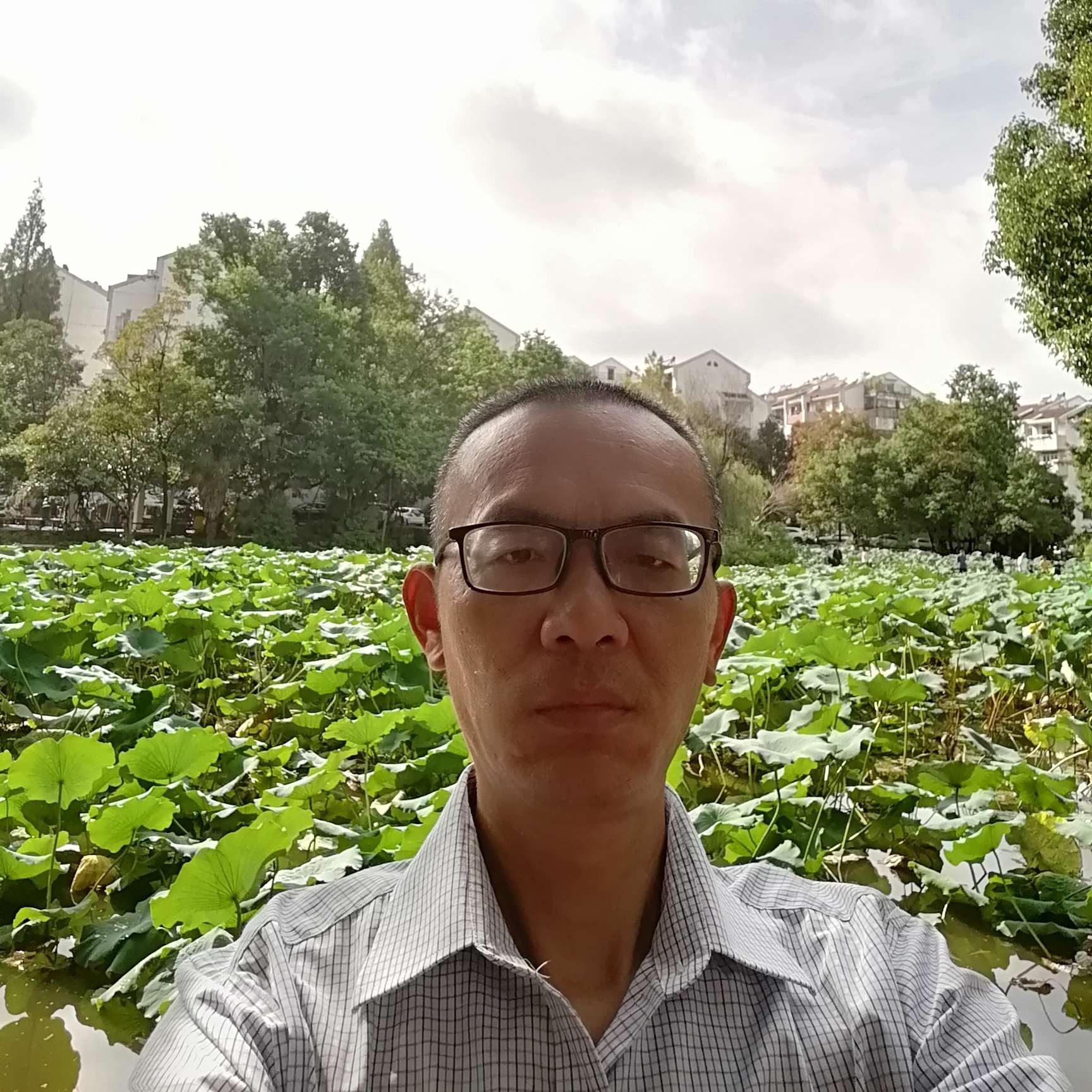 灰狼回眸酷炫的照片