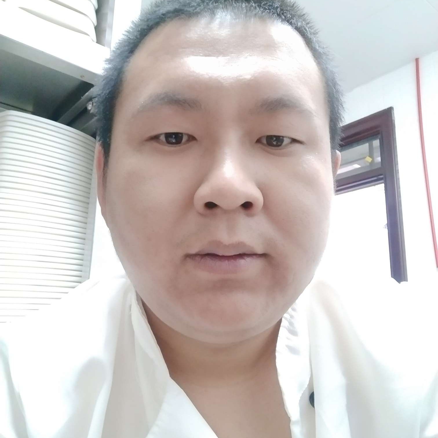 森槿复杂271的照片