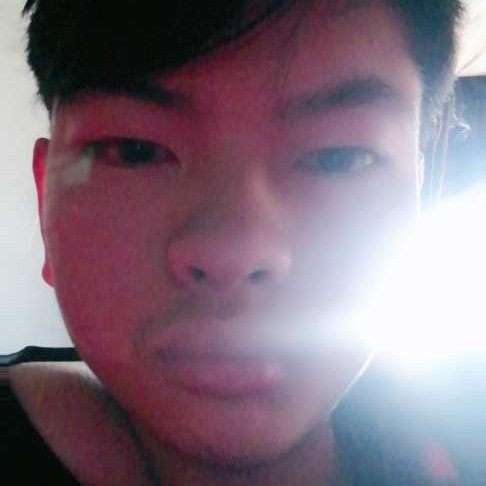 灯泡羞涩的照片