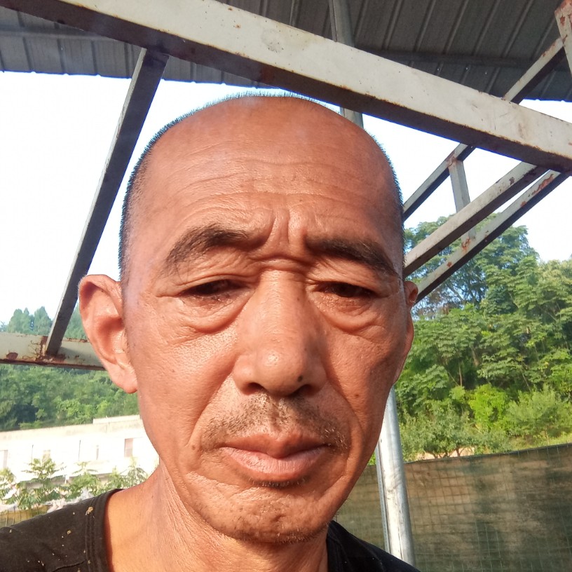 小松鼠蹁跹忧郁的照片