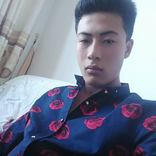 冬天清脆的照片