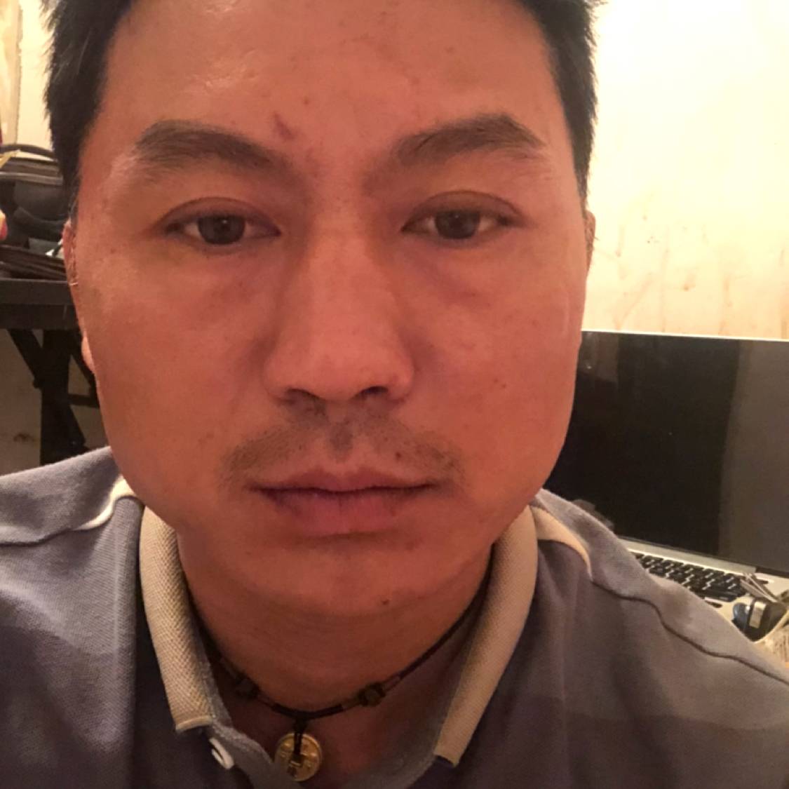 小蚂蚁和老实的照片