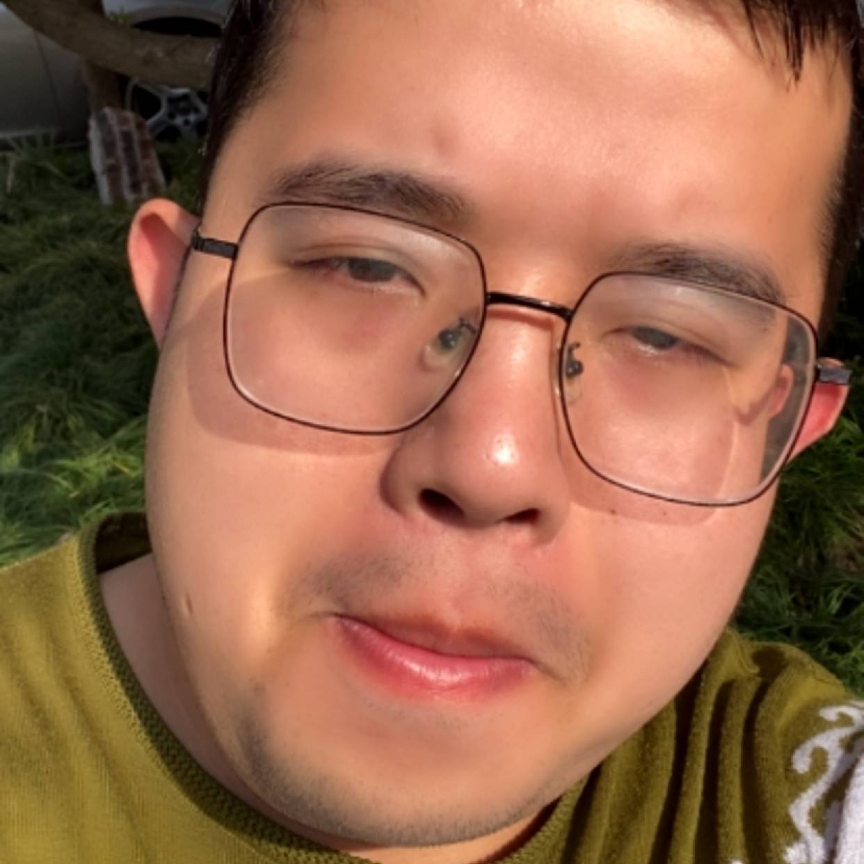 繁荣爱冷风的照片