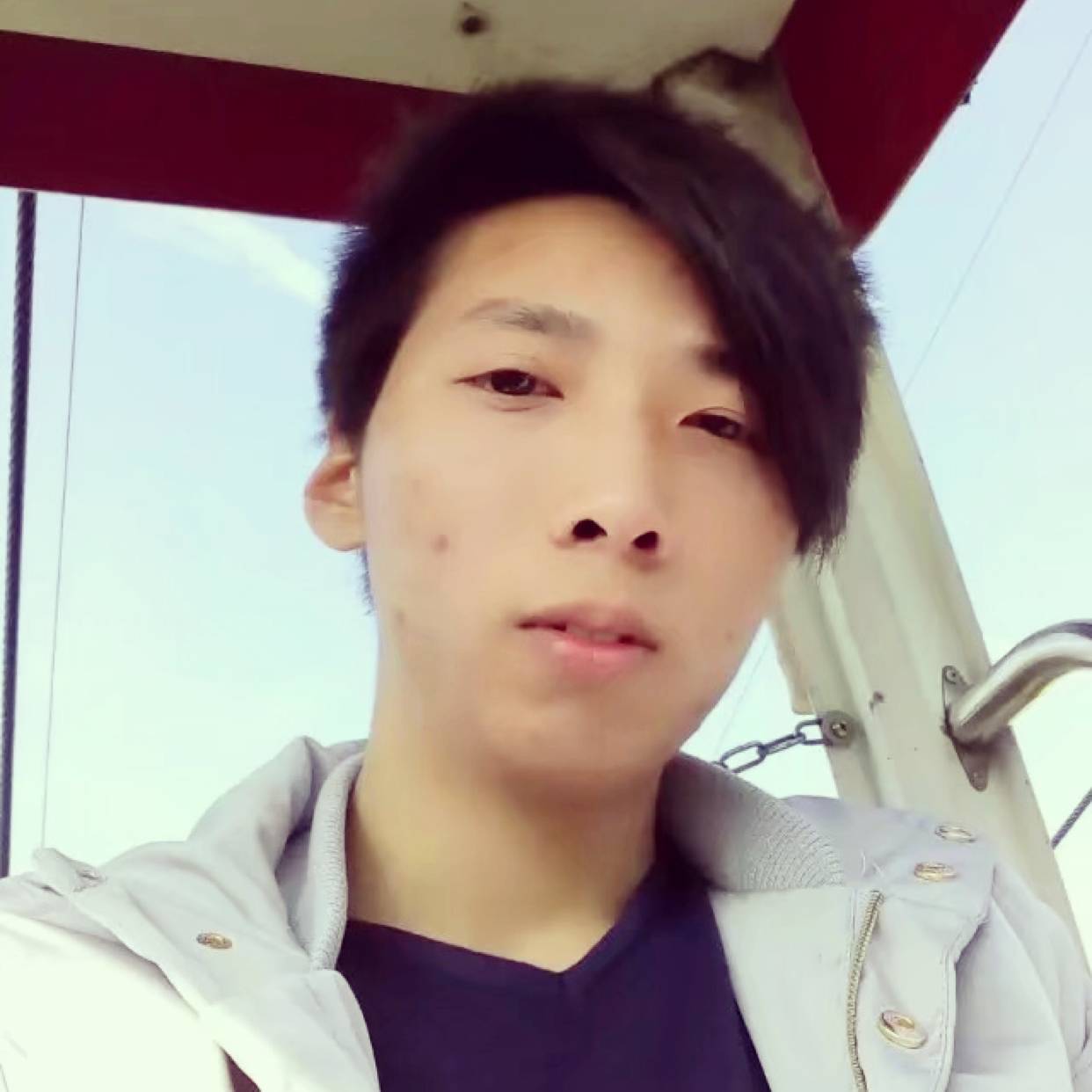 小熊猫浅吻怕黑的照片