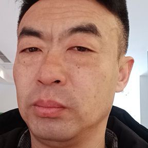 住在树上的鱼的照片