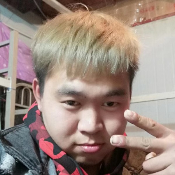 电动小马拉的照片