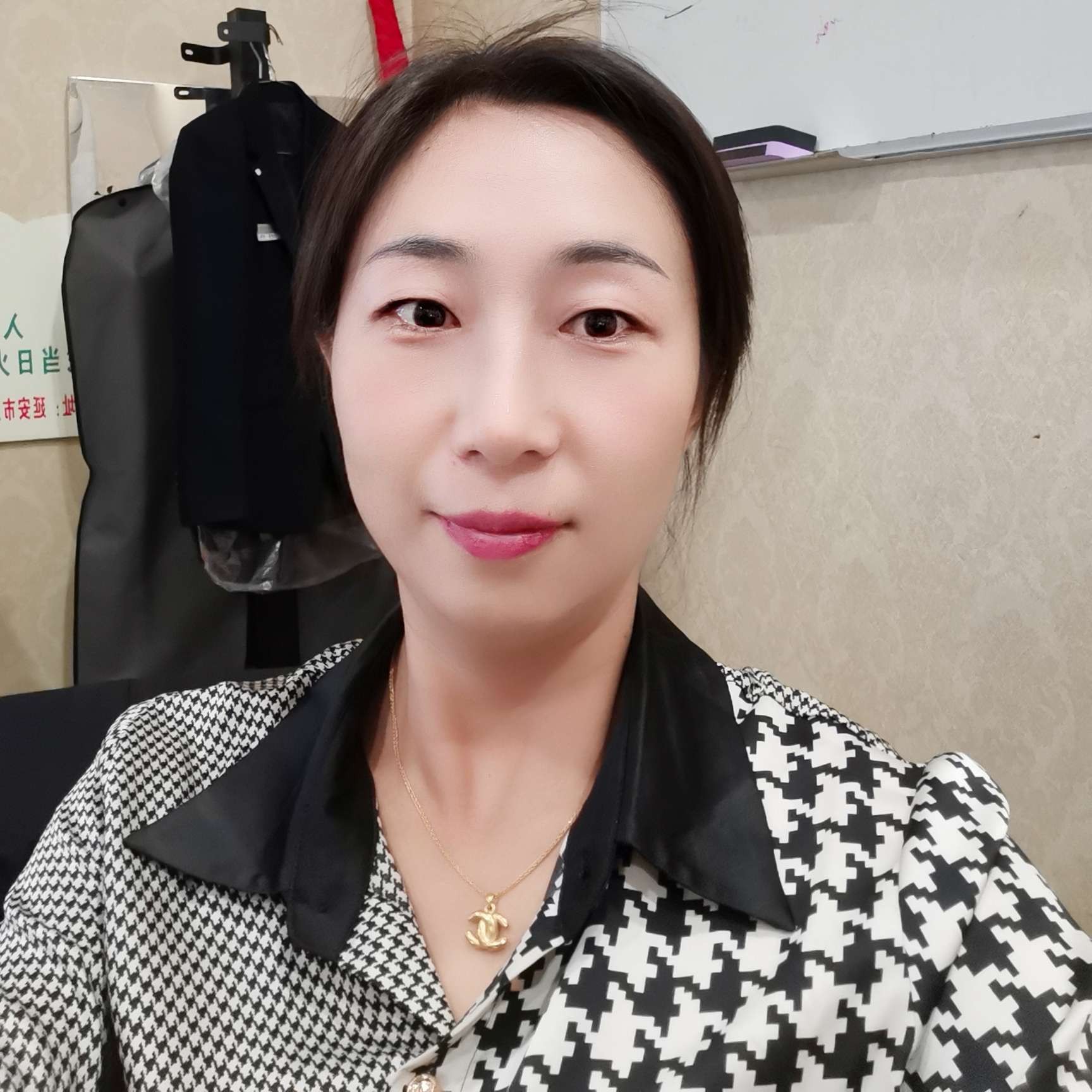 大气演变仙人掌的照片