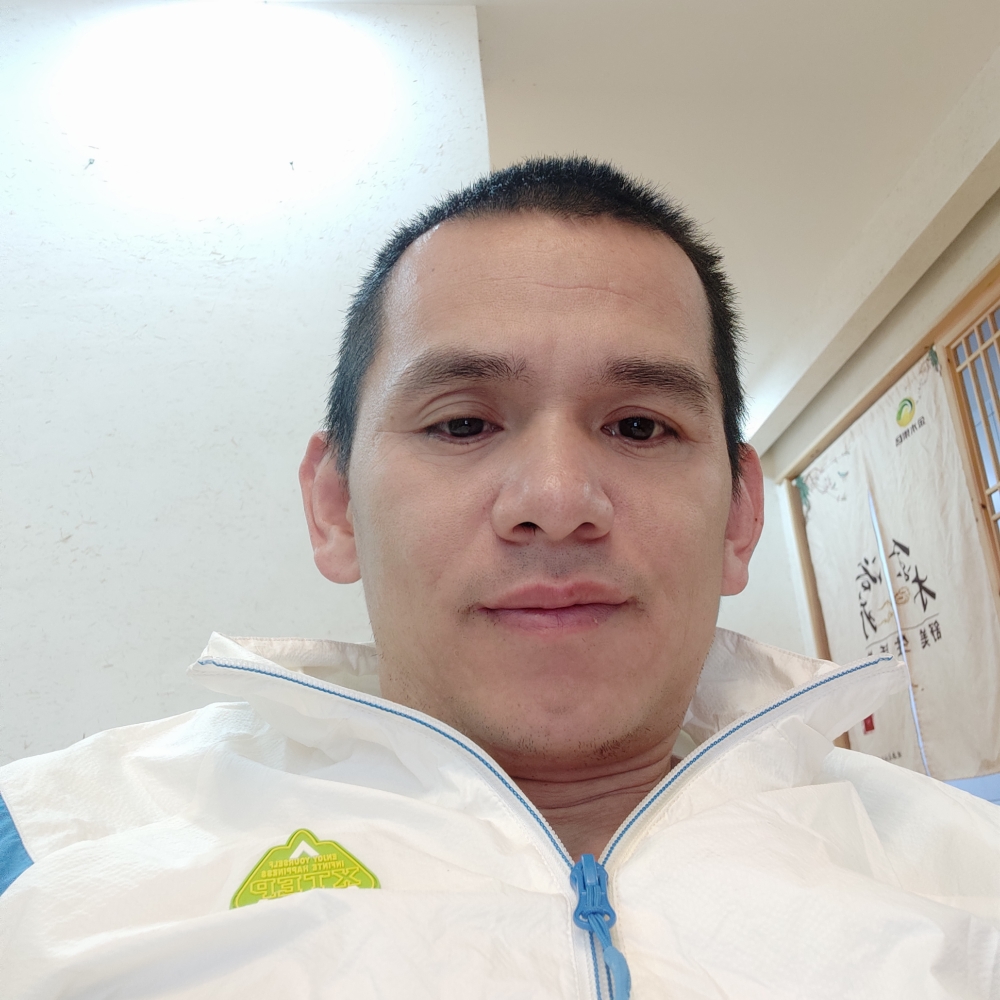 机灵浅吻书本的照片